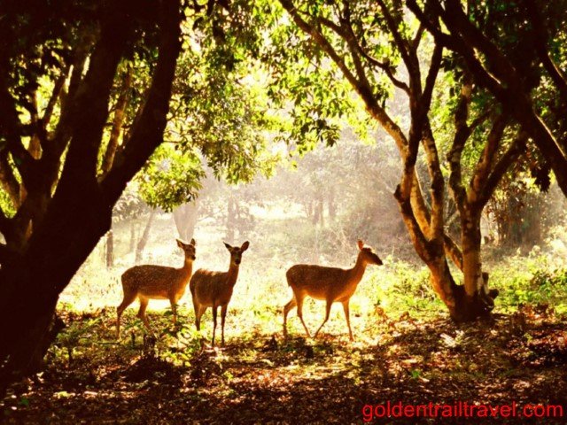 Cuc Phuong Trek 2 Days Itinerary